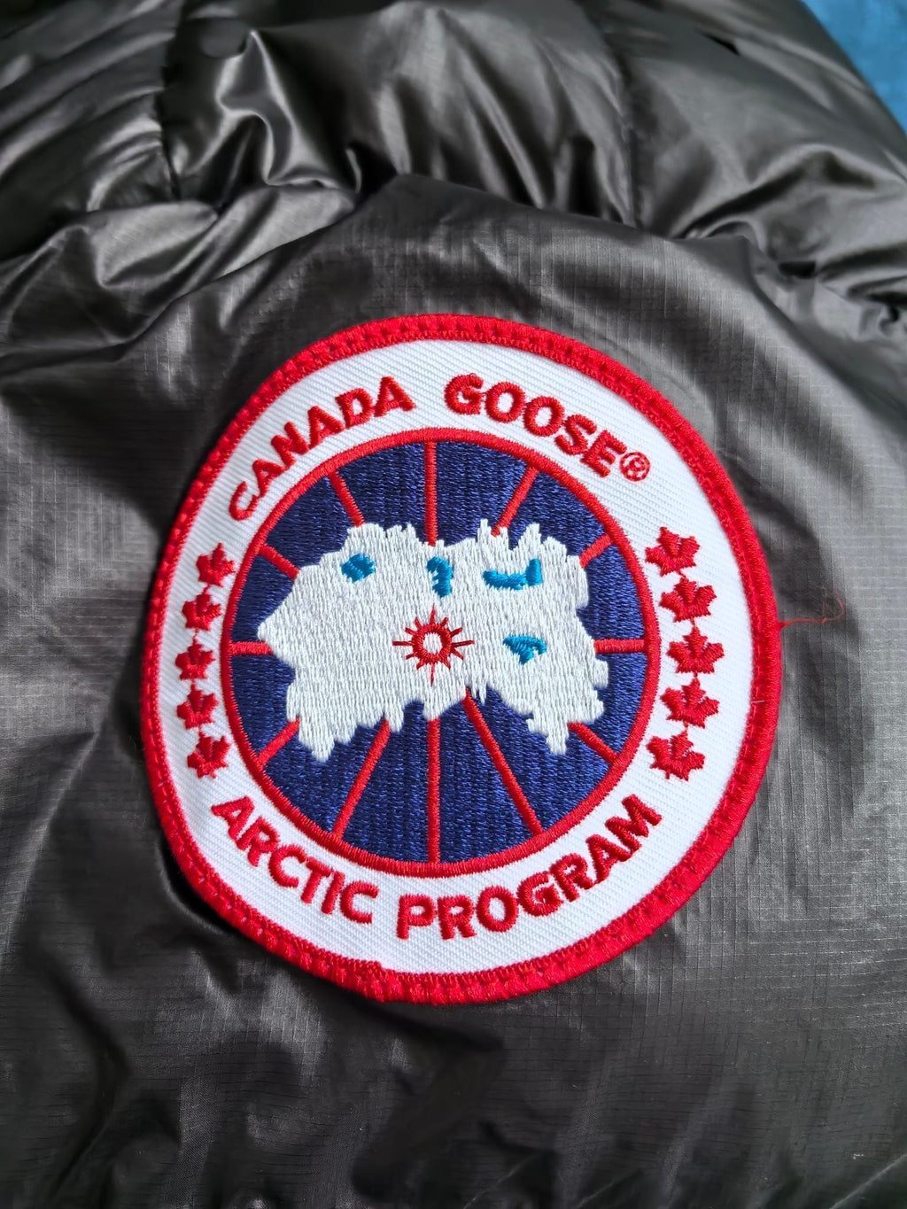 Glossy Down Jacket