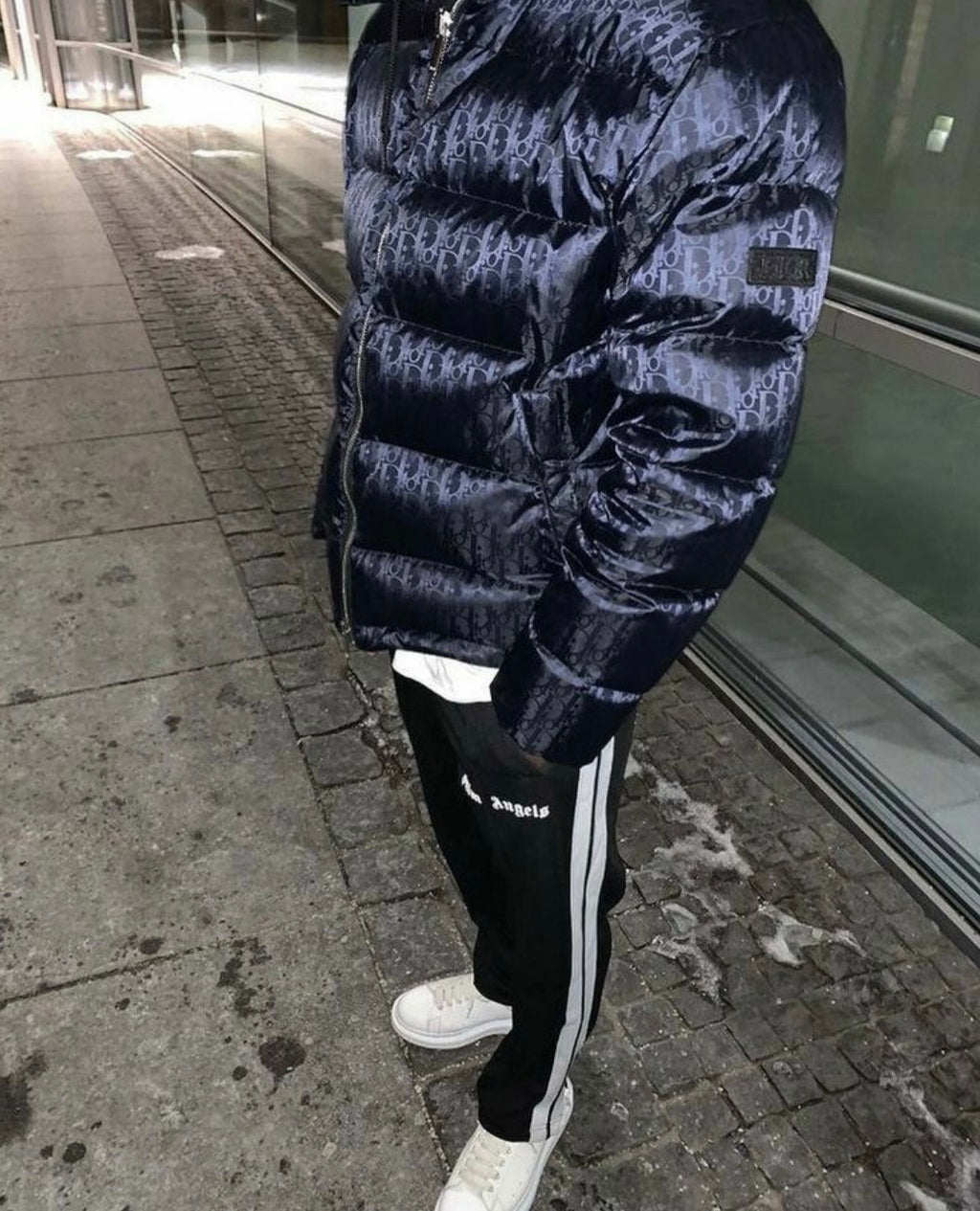 Dior Oblique Down Jacket