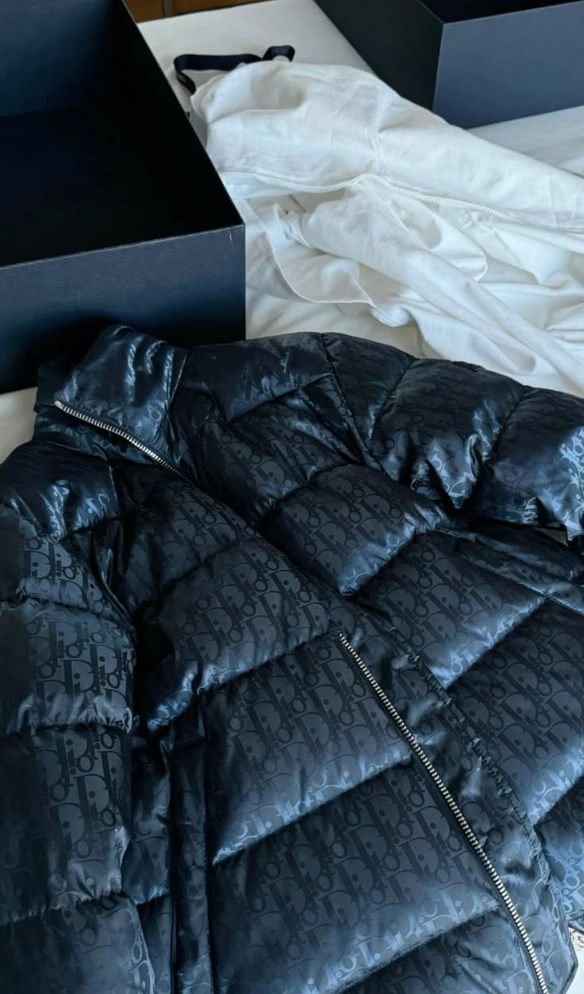 Dior Oblique Down Jacket