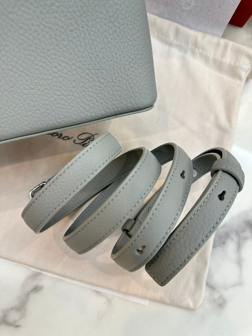 Saddle 19 Loro Leather Bag